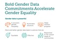 Bold Gender Data Commitments Accelerate Gender Equality