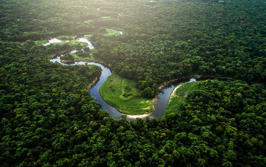 aerial view of river running through trees