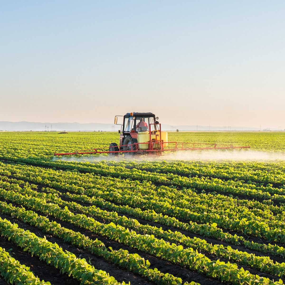 Tractor working in a field