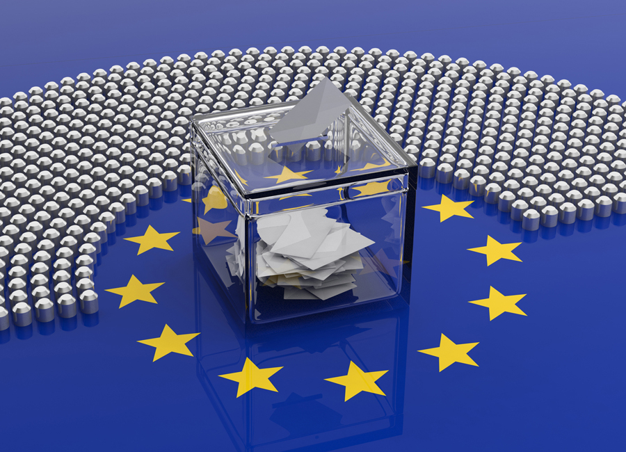 After the European Elections: the Big Picture