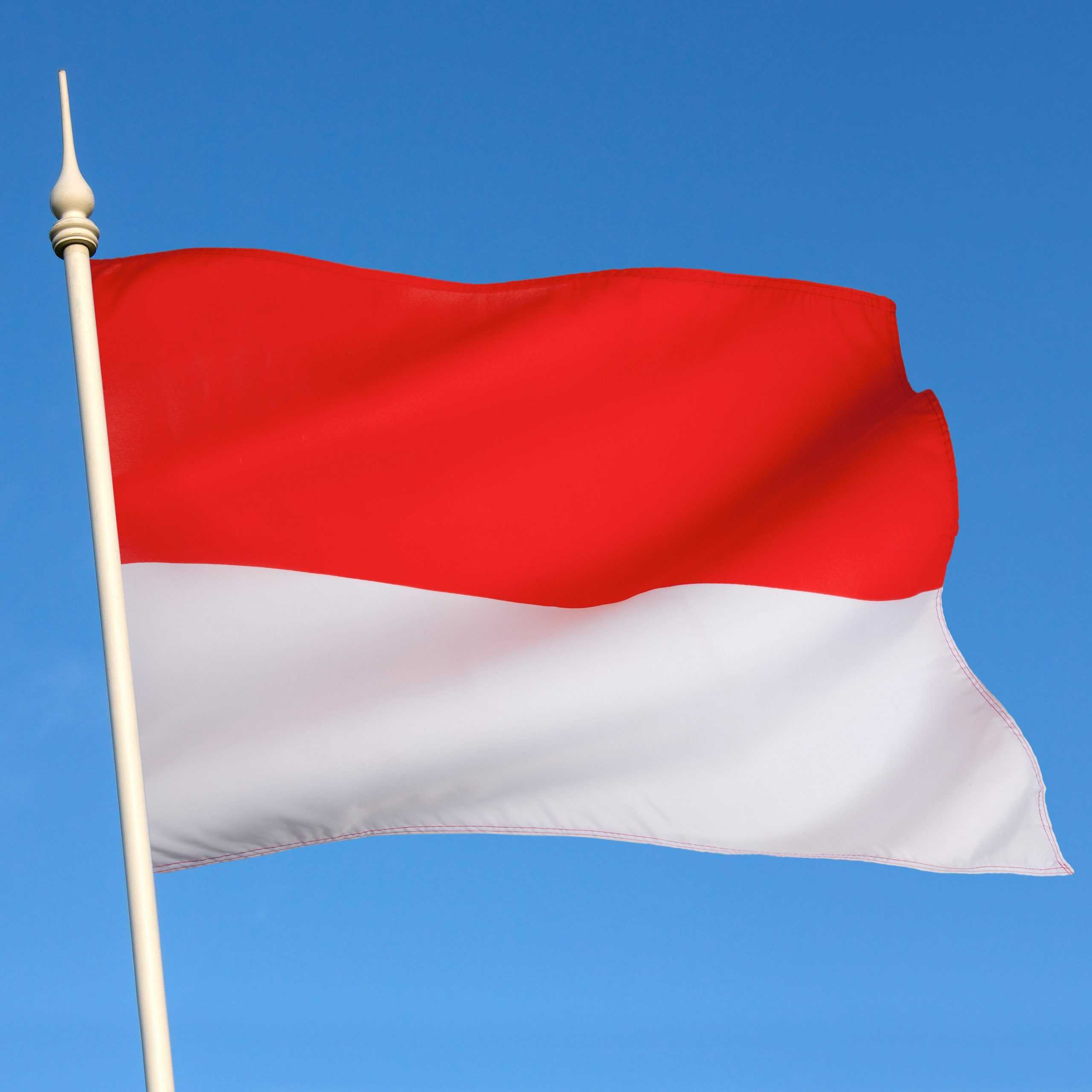 Indonesian Flag