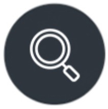 crisis-insights-magnifier-icon.png