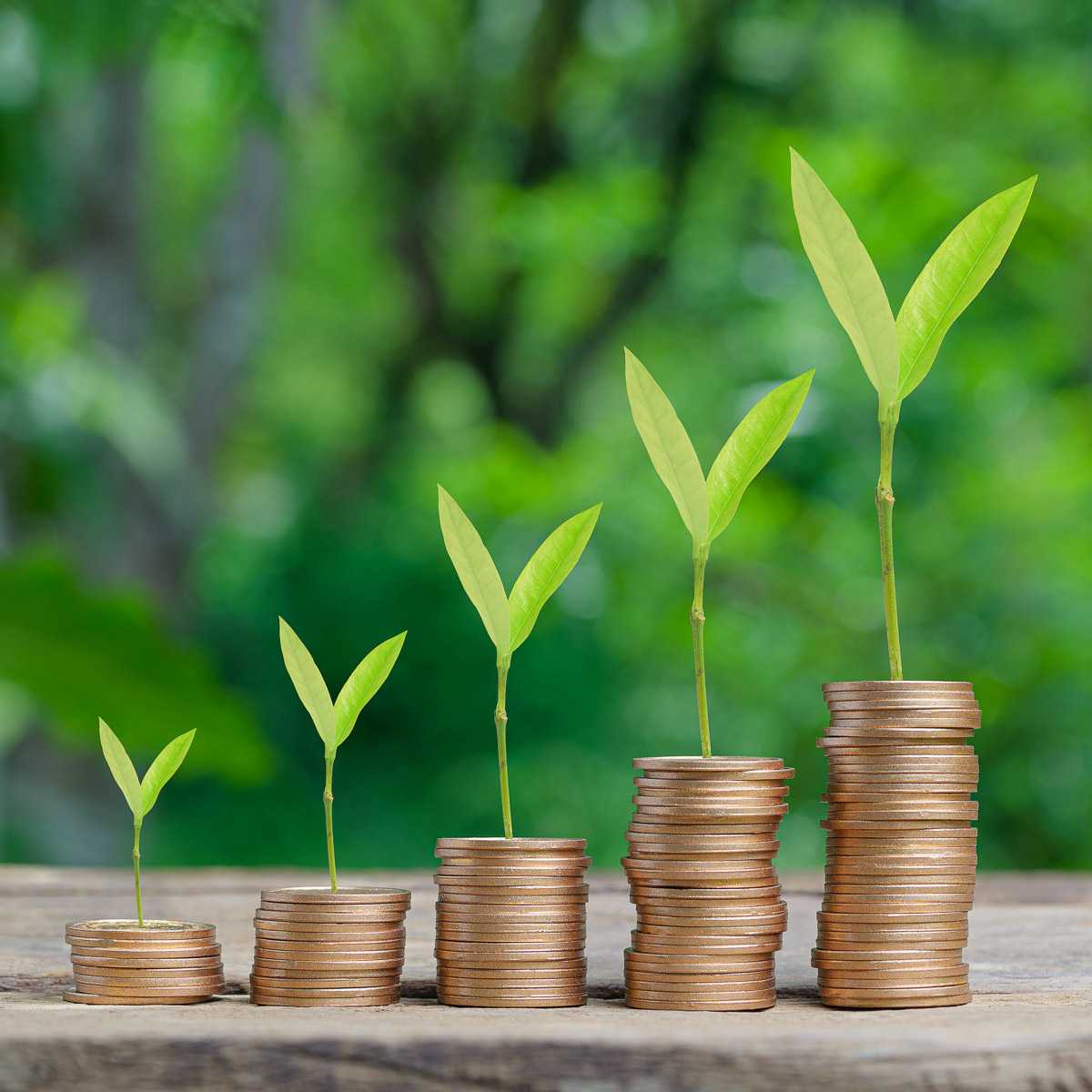 Sustainability investing