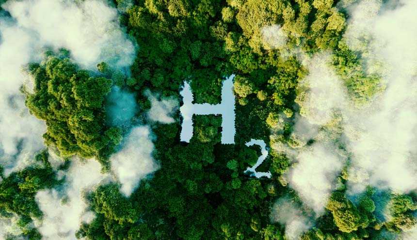 H2 in trees