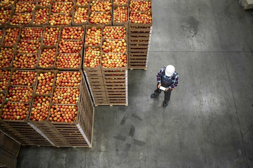 Apples in Warehouse
