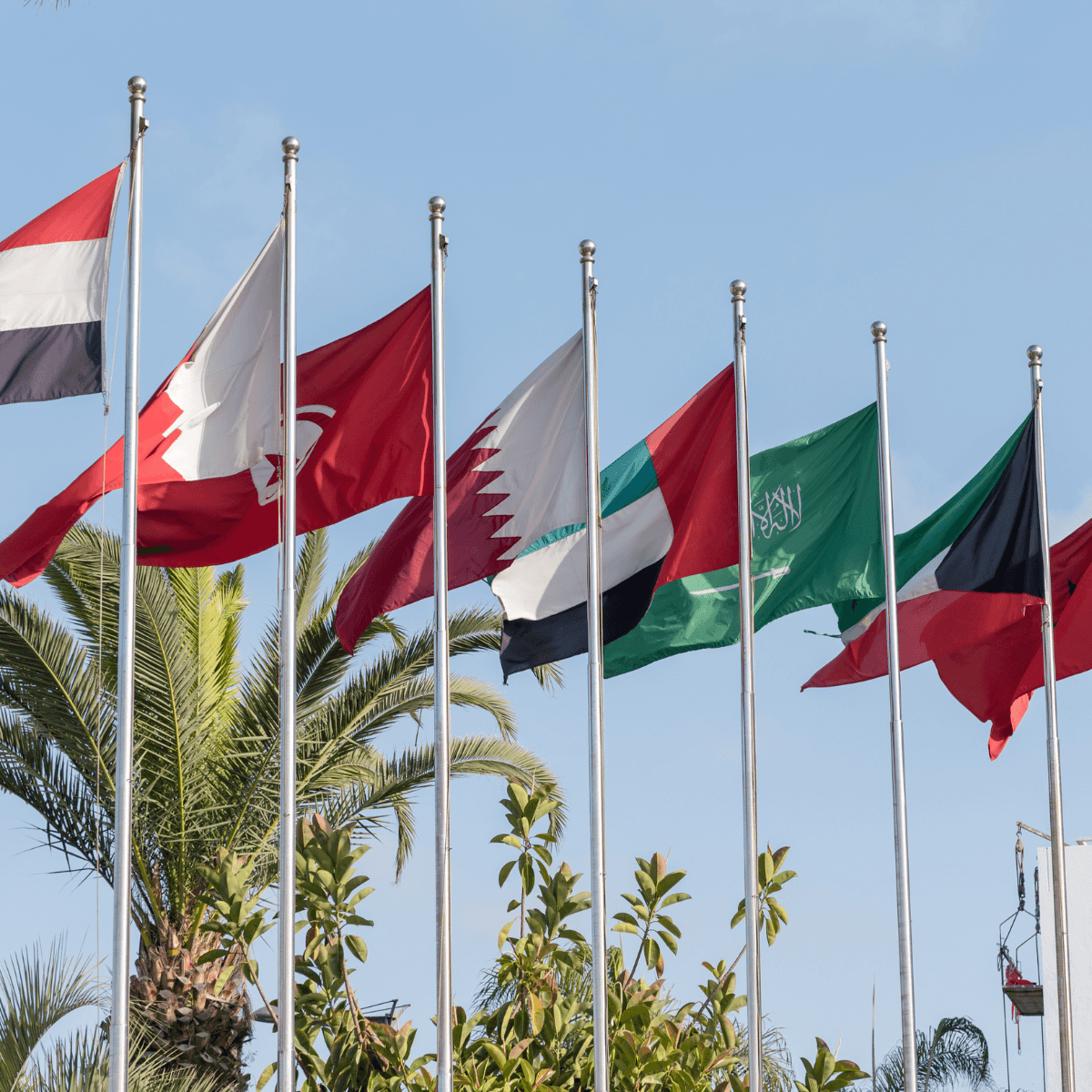 Country flags from MENA