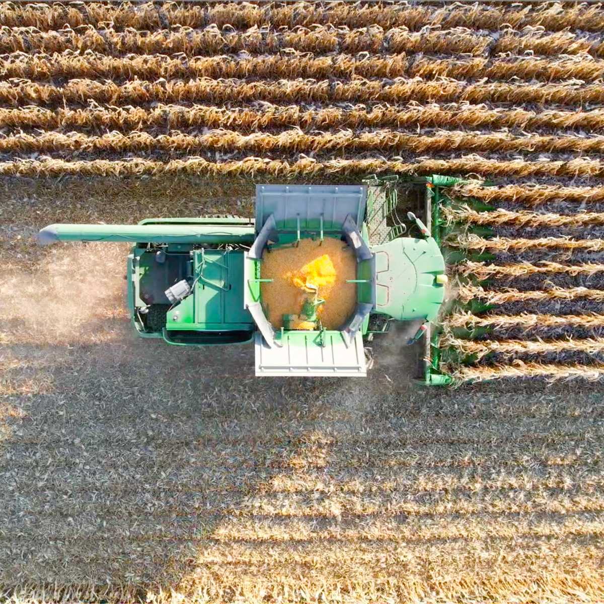 Tractor farming