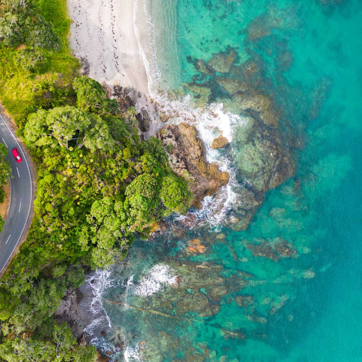 Ocean and coast line