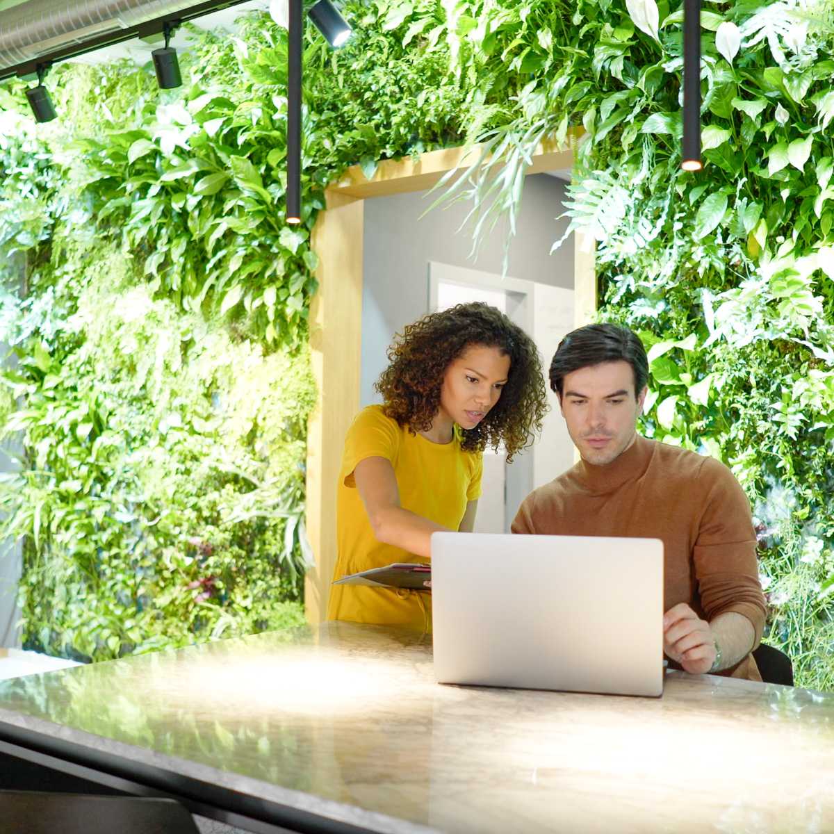 Two people having a business meeting in front of greenery