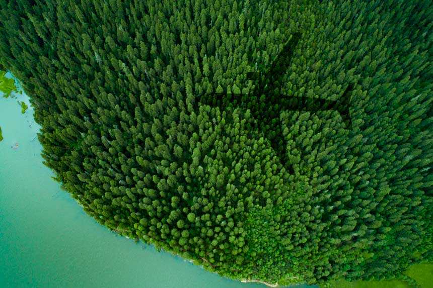 Plane shadow over Forest