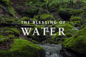 Blessing-Water-Thumb