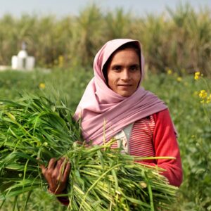 woman working in a field in India